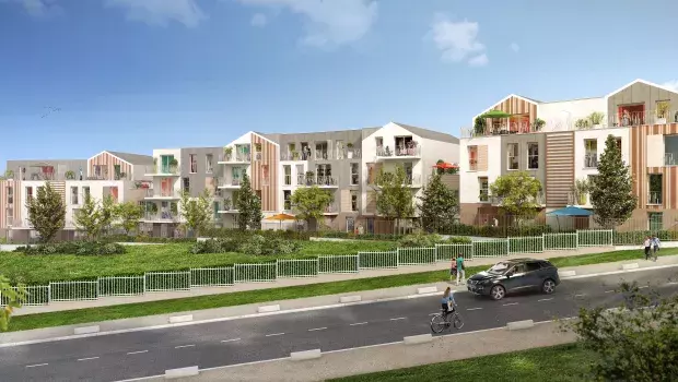 Perspective Horizon Nature